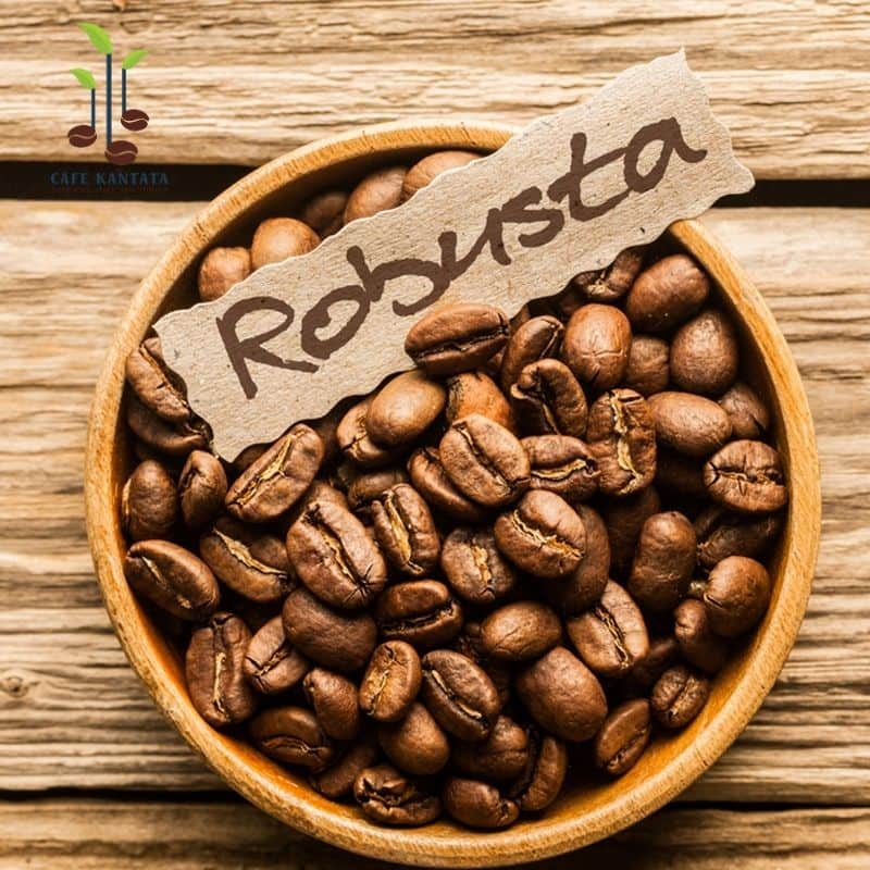 قهوه روبوستا